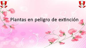 Plantas En Peligro De Extinción