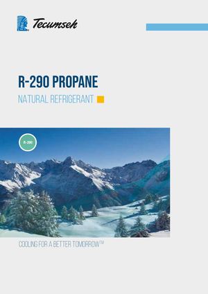 Tecumseh R 290 Catalog 2021 Small