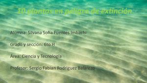 10 Plantas En Extinción
