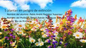 5 Plantan En Peligro De Extinción