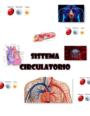 Laboratorio Grupo 13
