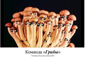 Презентация Грибы