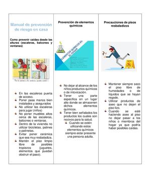 Manual De Prevención De Riesgo En Casa