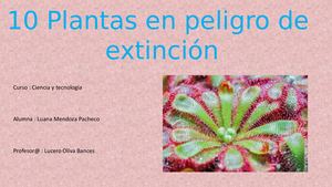 10 Plantas En Peligro De Extincion