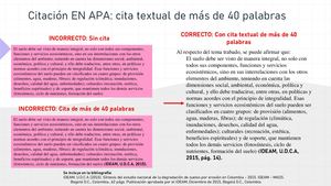 Ejemplo Citas En Apa