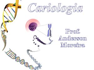 Tipos De Cromossomos