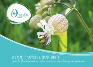 1- Les plantes sauvages du bocage vendéen