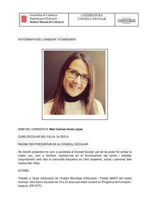 Candidatures Consell Escolar famílies