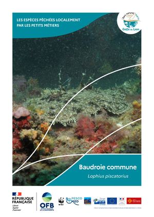 Poissons locaux pêchés par les pêcheurs professionnels petits métiers - Parc naturel marin du golfe du Lion