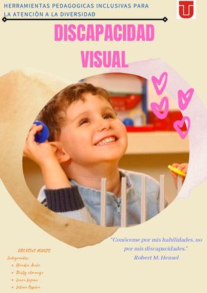 Discapacidad Visual (2)