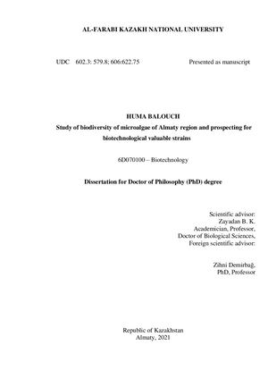 Ph D Balouch диссертация.