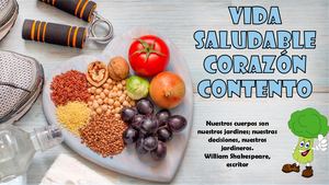 Estilo De Vida Saludable En Peruanos Prototipo