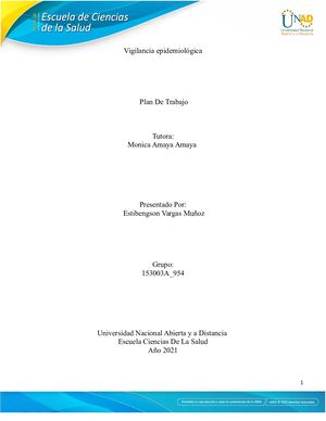 Vigilancia Epidemiologica Ideam Sg Sst