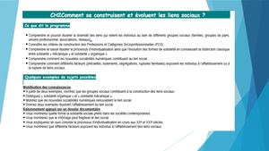 Diapo Chap 2 Lien social