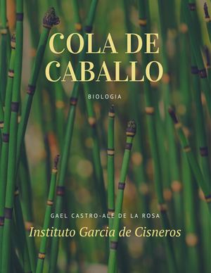 COLA DE CABALLO