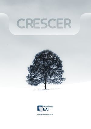 Programa Academia BAI 2022