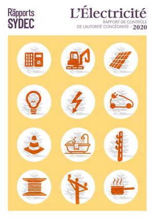 RAPPORT 2020 // RAPPORT DE CONTRÔLE ÉNERGIE-ÉLECTRICITÉ