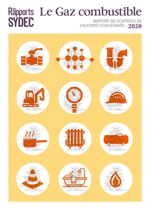 RAPPORT 2020 // RAPPORT DE CONTRÔLE GAZ COMBUSTIBLE