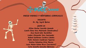 Hueso Hioides Y Columna Vertebral