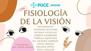Fisiología De La Visión