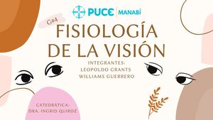 Fisiología De La Visión