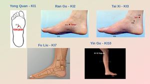 5 Main Points of Kidney Meridian