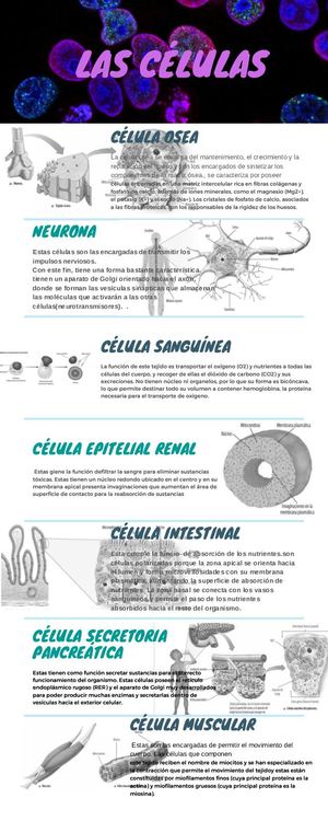 0 16840746295 20210212 224835 0000