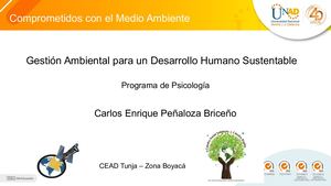 Infografía Gestión Ambiental