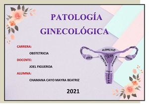 Chamana Cayo Mayra Portafolio Final