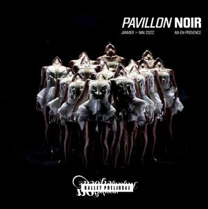 PAVILLON NOIR - LES SPECTACLES DE JANVIER À MAI 2022