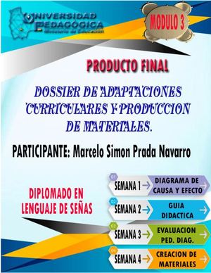 Prada Marcelo Trabajo Final Up Diplomado Lsb