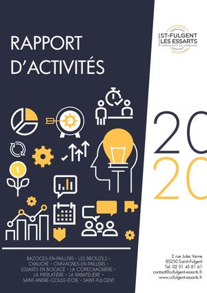 Rapport d'activités 2020