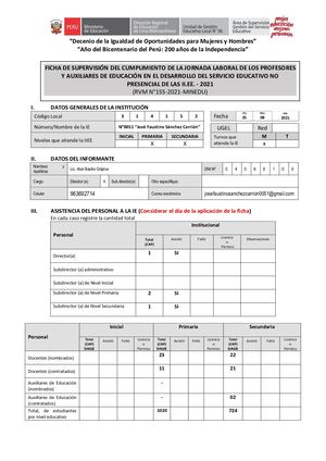 Ficha N°01 Supervisión Ugel N°06