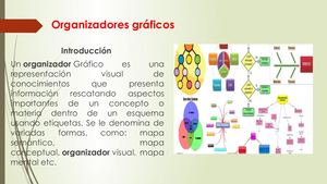PRACTICA 8