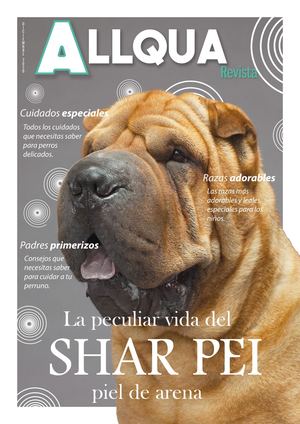 Revista Perruna