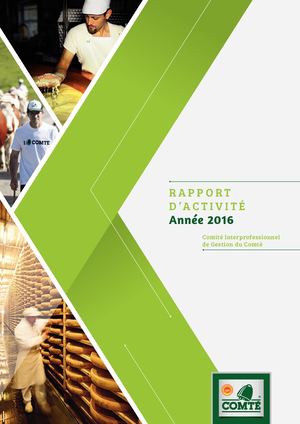 Rapport d'activité Cigc 2016