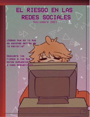 Los riesgos en las redes sociales