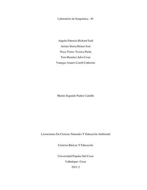 Cartilla De Laboratorios