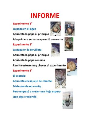 Informe De Experimentos