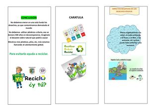 Formato Triptico Ccnn