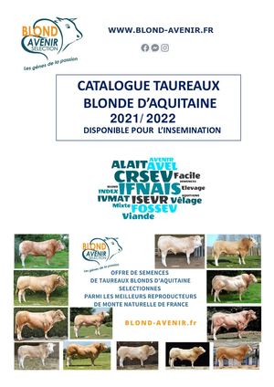 Catalogue Blond Avenir def
