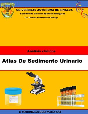 Atlas De Analisis