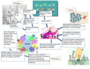 Infografia Competidor Innovador