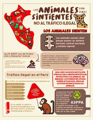 INFOGRAFIA