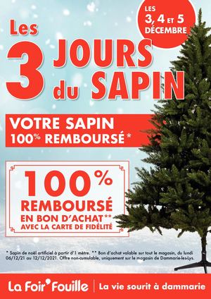 3 Jours du Sapin 100 % remboursé La Foir'fouille Dammarie