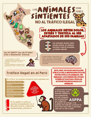 INFOGRAFIA