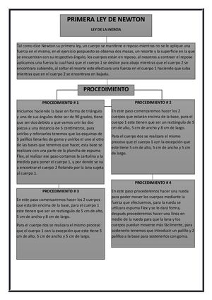 Organizador Grafico Luis Quiroz