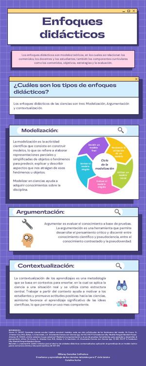 Infografía Enfoques Didácticos Millaray González Colihuinca