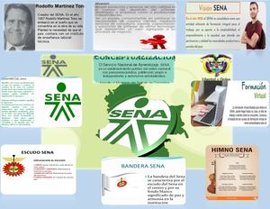 Infografia Sena 2021