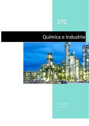 Química E Industria Nela Braga Benito 1ºc